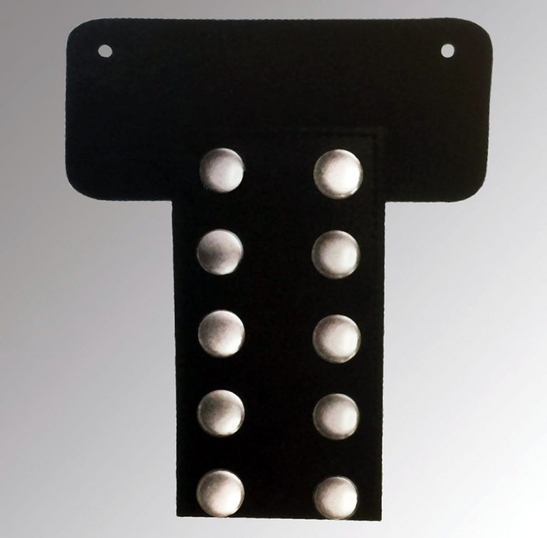 Perpetual Championship Customizable Belt for any sport/recognition award