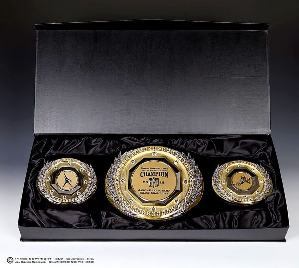 SLD Awards Fully Customizable Presidential Championship Belt with Presentation Gift Box