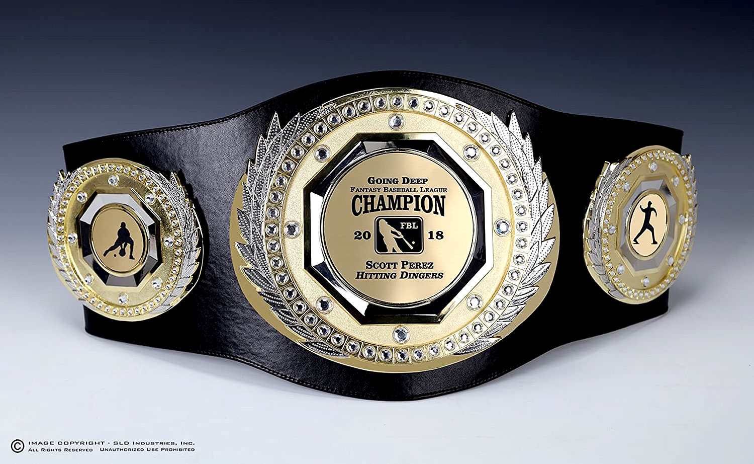 War in The Stars Ceremonial Belt Ring- Ladies Ceremonial Belt Ring, ceremonial_belt, Custom, Platinum / Diamond